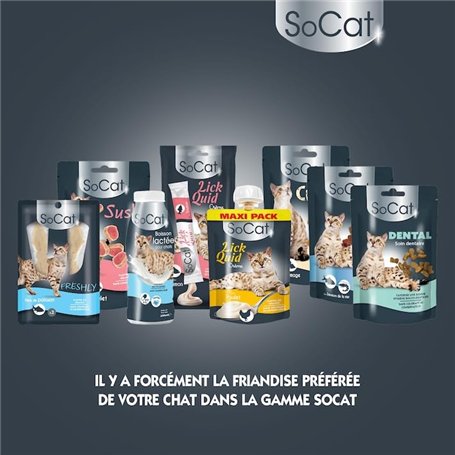 Rappe Pieds Pédicure Professionnel