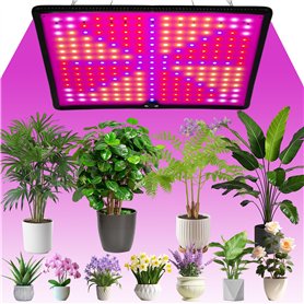 Withosent 225 LEDs Lampe Horticole Led