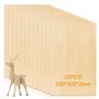 Sporgo Lot de 12 plaques en bois de bricolage : 30 x 20 cm