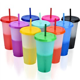 PALUDO 10 Pièces Gobelets Plastiques Réutilisables avec Couvercle & Paille