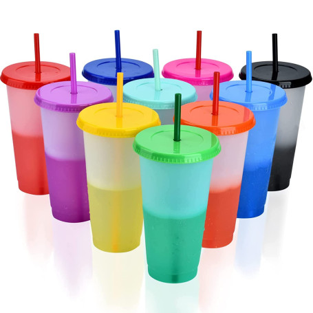 PALUDO 10 Pièces Gobelets Plastiques Réutilisables avec Couvercle & Paille