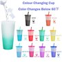PALUDO 10 Pièces Gobelets Plastiques Réutilisables avec Couvercle & Paille, 710ml Gobelets à Changement de Couleur, Tasse de Voy