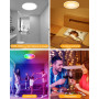 Rawhui Plafonnier LED Chambre Dimmable 24W, 3400LM Intelligent Lampe Plafond RGB Compatible avec Alexa et Google, Télécommande&A