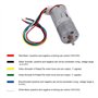 DC 12V DIY Moteur à engrenages avec support de montage 65mm Kit de roue magnétique pour boîte de vitesses Moteur Kit de réductio
