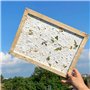 ANCLLO Ancient Paper Making Method Wooden Paper Making Crafting Paper Making Crafting Mold Frame Screen for DIY Handcrafts Suppl
