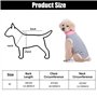 Blouse Chirurgicale Anti-Léchage pour Animaux de Compagnie