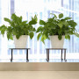 2Pcs Pot de Fleurs Métal Supports Ronds