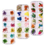 72 Pièces Fleurs Séchées Pour Ongles