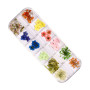 Décoration Manucure Nail Art