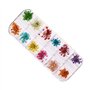 72 Pièces Fleurs Séchées Pour Ongles, Ensemble De Fleurs Séchées Nail Art, Décoration Manucure Nail Art, 3 Boîtes Pour Un Produi