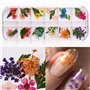 72 Pièces Fleurs Séchées Pour Ongles, Ensemble De Fleurs Séchées Nail Art, Décoration Manucure Nail Art, 3 Boîtes Pour Un Produi