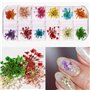 72 Pièces Fleurs Séchées Pour Ongles, Ensemble De Fleurs Séchées Nail Art, Décoration Manucure Nail Art, 3 Boîtes Pour Un Produi