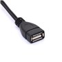USB A 2.0 femelle vers 2 prises RCA mâles