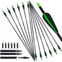 D&Q 12PCS 31inch Flèches de tir à l’Arc Fibreglass Shaft Spine 550 Flèches de ciblage de Chasse pour recurve Bow Compound Bow wi