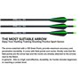 D&Q 12PCS 31inch Flèches de tir à l’Arc Fibreglass Shaft Spine 550 Flèches de ciblage de Chasse pour recurve Bow Compound Bow wi