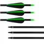 D&Q 12PCS 31inch Flèches de tir à l’Arc Fibreglass Shaft Spine 550 Flèches de ciblage de Chasse pour recurve Bow Compound Bow wi