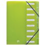 Lot de 10 peignes anti-poux double face pour le toilettage et le retrait des pellicules ou des poux.