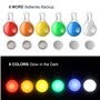 LED lampe pour chien
