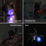 HOTERB Pendentif Lumineux Chien,LED lampe pour chien,6PCS Lumières de Sécurité Colorées pour Chien Chat pour Porte-clés Cyclisme