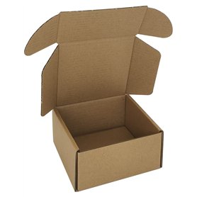 CH-BOX Lot de 50 petites boîtes d'expédition en carton ondulé - Dimensions intérieures : 10