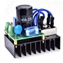 10A 0-220VAC à 0-311VDC Module de Carte de Redresseur Universel à Protection Multiple