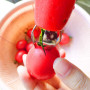 Trancheur de Fraises, Décortiqueur de Fraises, Dissolvant de Tomates, Acier Inoxydable, pour la Transformation des Fruits de Cui