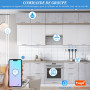Prise Connectée Wifi Progr