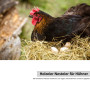 GanKe Lot de 5 œufs en bois pour poules - Œufs en bois artificiels pour aider à la ponte - Outil agricole pour volaille