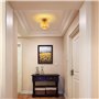 luminaires de ferme pou