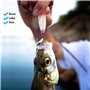 6 pièces Peche Kits Leurres, Pêche Jig Métal Appâts Poissons 7.65cm 4# Crochets Crankbait, Plomb Coulée Tranche Leurres de Pêche