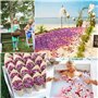 100g Confettis de Pétales Rose Paquets de Confettis de Mariage Naturels Fleurs Séchées Confettis Pétales pour Décoration de Mari