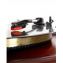 QWORK® Lot de 3 Cellule Platine Vinyle et Aiguilles Tourne Disque, Accessoires de Remplacement pour Tourne Disque Vinyle, Phonog