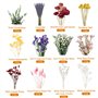 KAOHONG Bouquet de Fleurs Séchées Naturelles Vraies Naturel Fleurs Décoration pour Mariage, décoration Maison fête DIY Bougie Fa