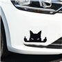 ZAHD Lot de 2 autocollants drôles pour voiture - Taille moyenne - Autocollant créatif tendance - Mème doigt d'honneur - Autocoll