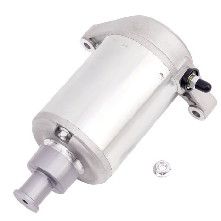 Road Passion Démarreur moteur 1UY-81800-51-00 1UY8180051 SMU0065 495706 41054018 Compatible avec Yamaha ATV Big Bear 350 YFM350F
