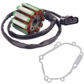 Road Passion Bobine de stator & Joint de Culasse de Moteur 5VY-15451-10-00 5VY-15451-00-00 2D1-15451-10-00 Compatible avec Yamah