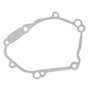 Road Passion Bobine de stator & Joint de Culasse de Moteur 5VY-15451-10-00 5VY-15451-00-00 2D1-15451-10-00 Compatible avec Yamah