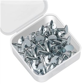 Drado Lot de 100 Clous de Toiture Galvanisés pour Toiture