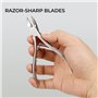 H&S Coupe Ongle en Acier Inoxydable - Pince à Ongles Robuste avec Poignées Rembourrées & Capuchon en Plastique - Coupe-Ongles In