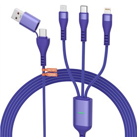 100W Câble Chargeur USB C Multi