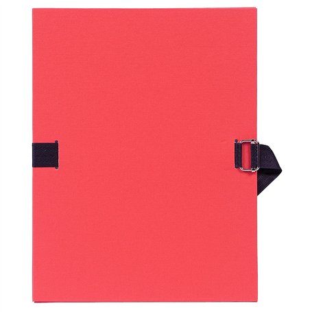 LEAZZLE Bouton Pression et de Pince Bouton Pression, 400 Jeux de Bouton Pression en Résine T5 de 24 Couleurs et de Pince Bouton 