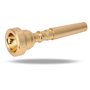 Accessoires Instrument de Musique(Or)