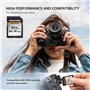 Gigastone Carte Mémoire SDXC 512 Go, 4K Caméra Pro Série, Vitesse de Transfert allant jusqu'à 100 Mo/s. Compatible avec Caméra C