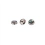 Alnicov Accessoires pour trompette - Coquille d'ormeau - 3 boutons de doigt - Pièce de réparation - Instrument de musique - Outi