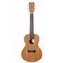 Ukuleles CORDOBA UP100 PACK CONCERT ACAJOU Concert
