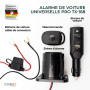 camionnettes
