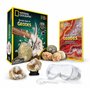 NATIONAL GEOGRAPHIC Kit Scientifique pour Ouvrir 4 Géodes – Comprend des Lunettes et Un Présentoir - Cadeau Scientifique STEM po
