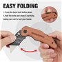 WORKPRO Cutter Utilitaire avec Mécanisme de Changement Rapide, Manche en Bois, Cutter Professionnel Pliant avec 10 Lames SK5 Sup