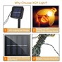 7M 50LED Abeille