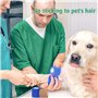 12 Rouleaux Bandage Autoadhésif Cohésifs, YOLAISI Bande Cohesive Bandages Auto-adhésifs Cohésifs Bandes Adhésifs pour Les Doigts